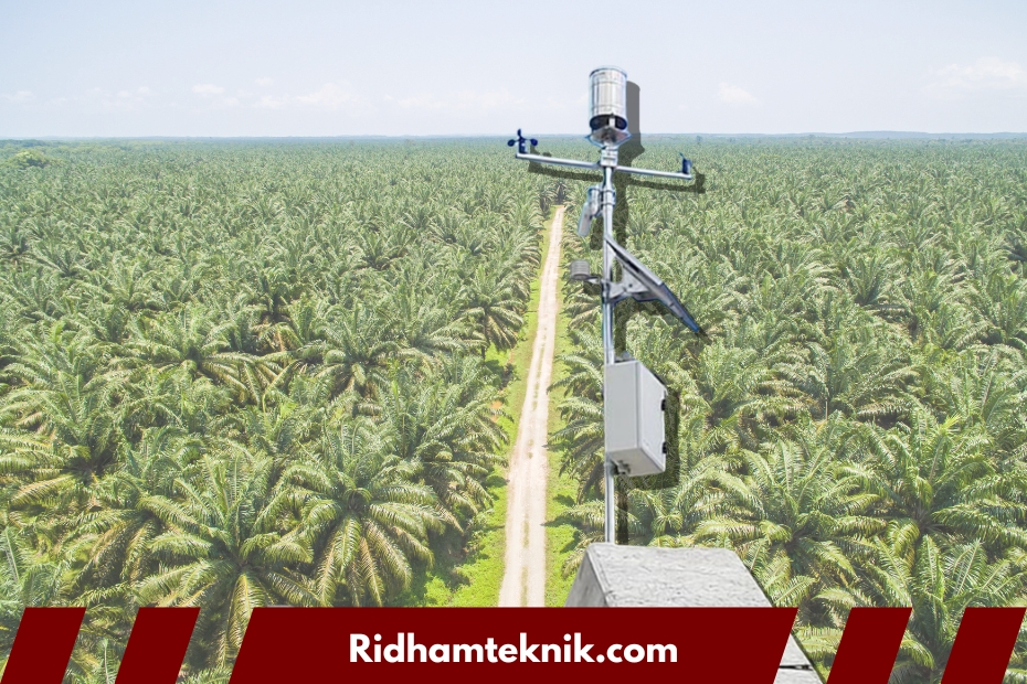 automatic weather station untuk perkebunan kelapa sawit